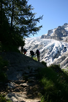 Trient glacier